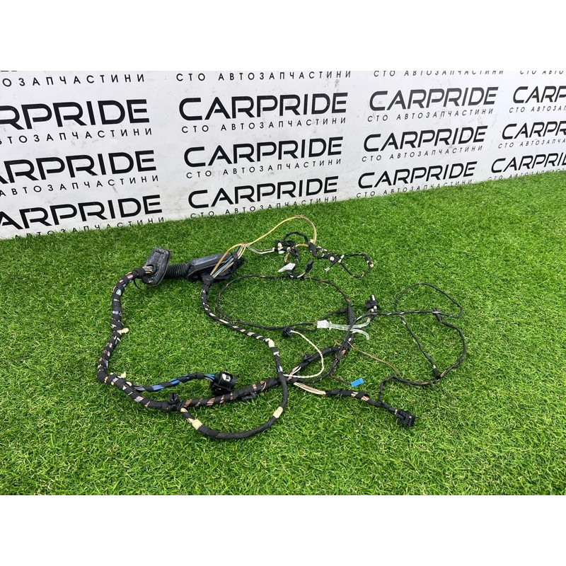 Проводка дверная (электрика) BMW X3 F25 2012 3.0 61129252376