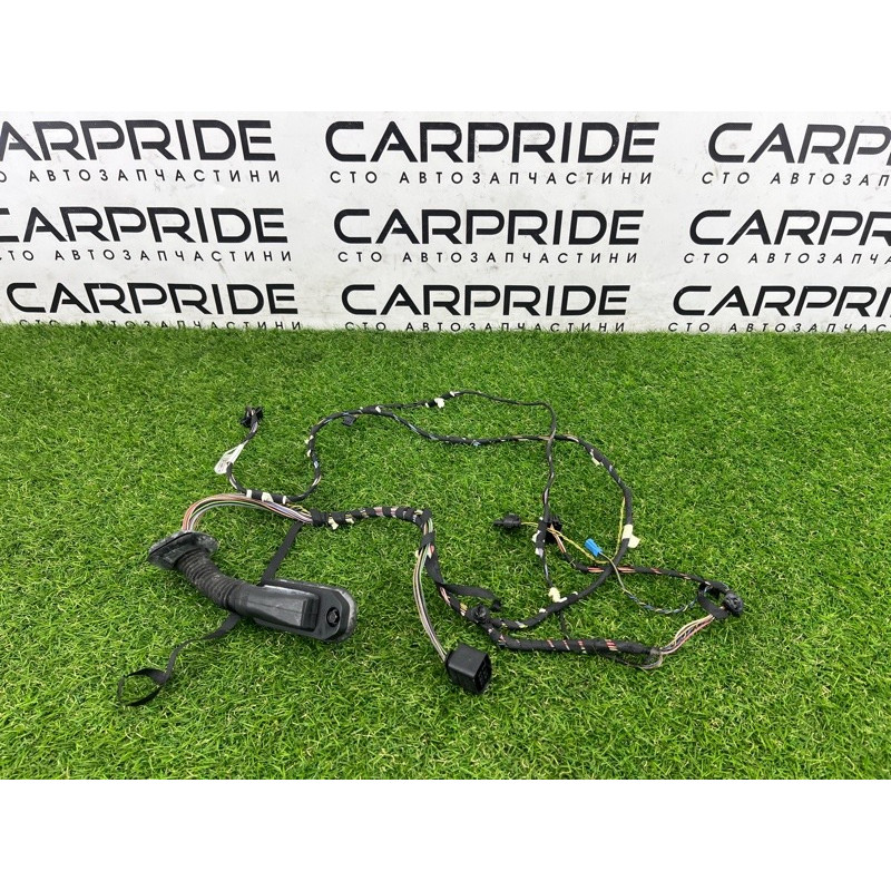 Проводка дверная (электрика) BMW X3 F25 2012 3.0 61129252388