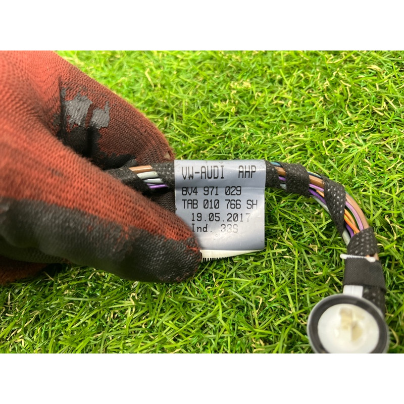 Проводка дверная (электрика) AUDI A3 8V 2018 2.0 CZRA 8V4971029G