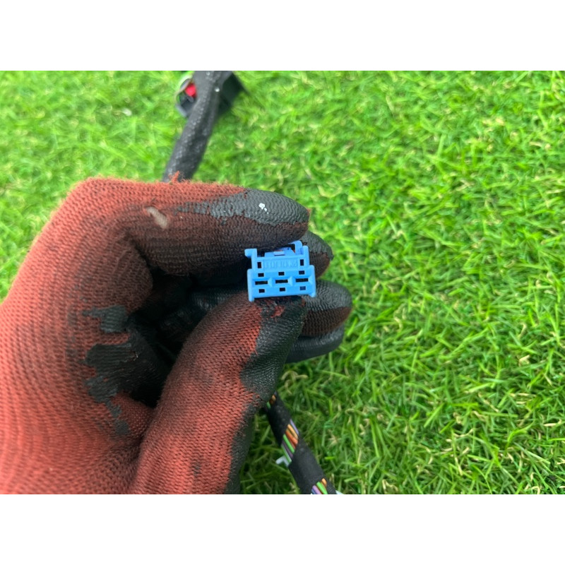 Проводка дверная (электрика) AUDI A3 8V 2018 2.0 CZRA 8V4971029G