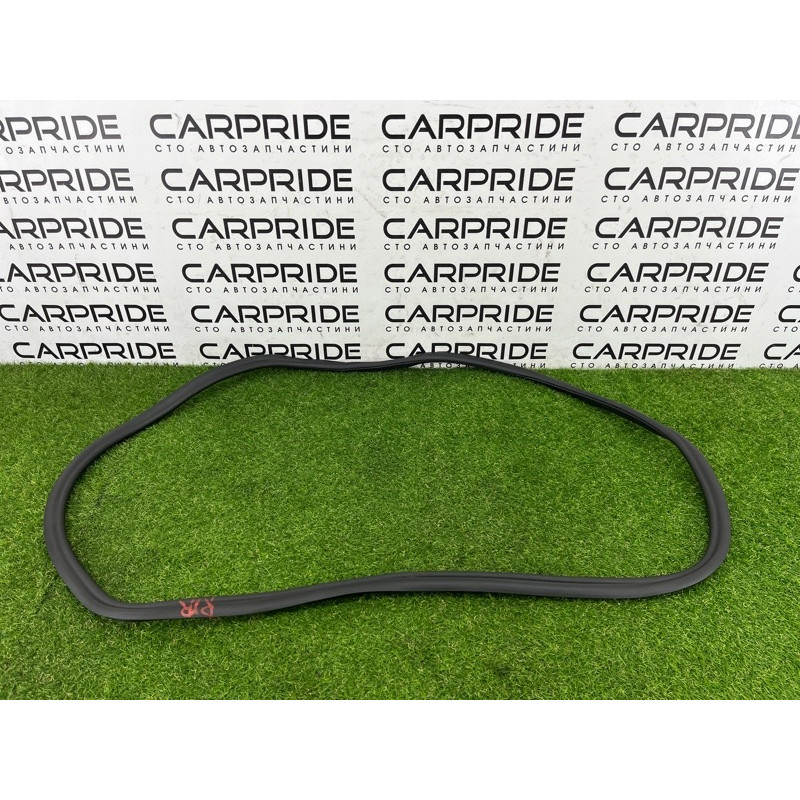 Уплотнитель проема двери (кузов и элементы) BMW 5-series G30 2017 2.0 B46B20 51727468732