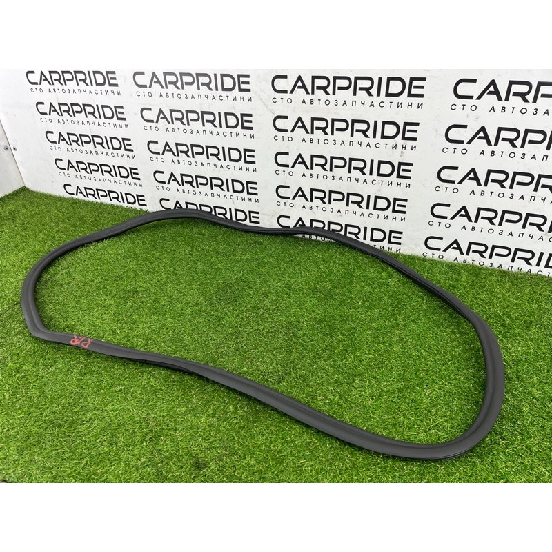 Уплотнитель проема двери (кузов и элементы) BMW 5-series G30 2017 2.0 B46B20 51727468732