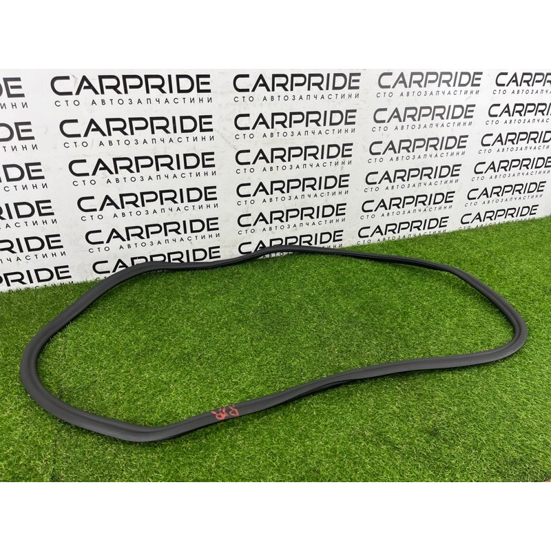 Уплотнитель проема двери (кузов и элементы) BMW 5-series G30 2017 2.0 B46B20 51727468732