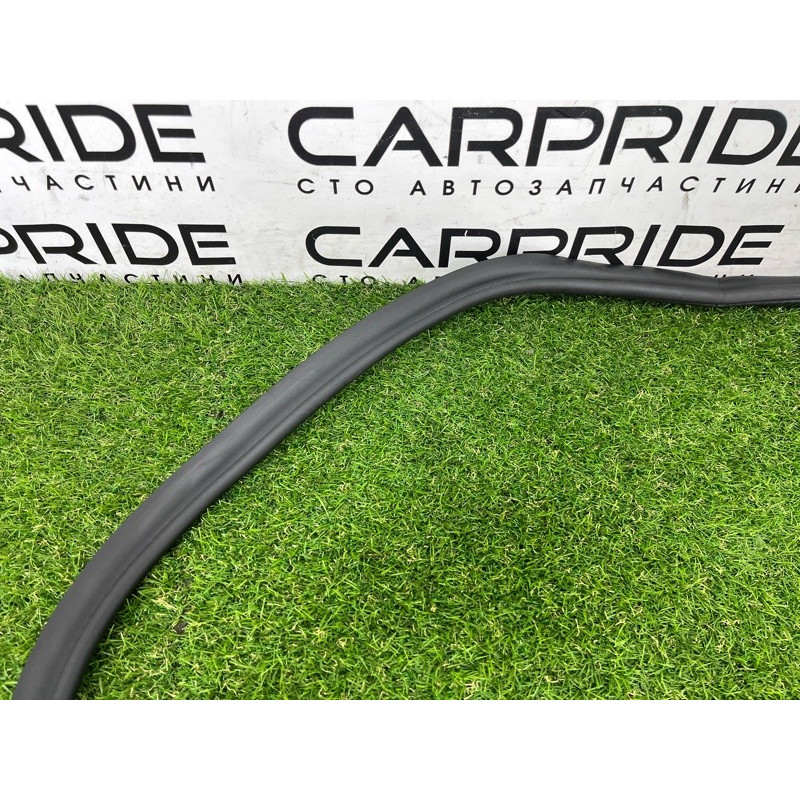 Уплотнитель проема двери (кузов и элементы) BMW 5-series G30 2017 2.0 B46B20 51727468732