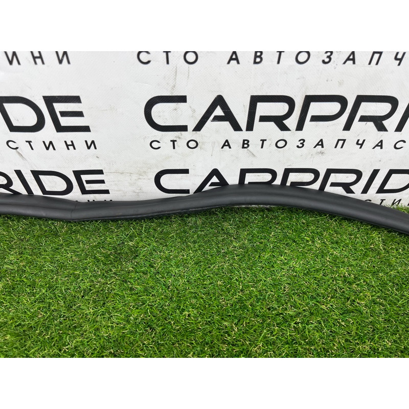 Уплотнитель проема двери (кузов и элементы) BMW 5-series G30 2017 2.0 B46B20 51727468732