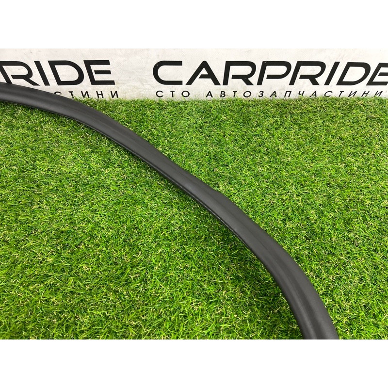 Уплотнитель проема двери (кузов и элементы) BMW 5-series G30 2017 2.0 B46B20 51727468732