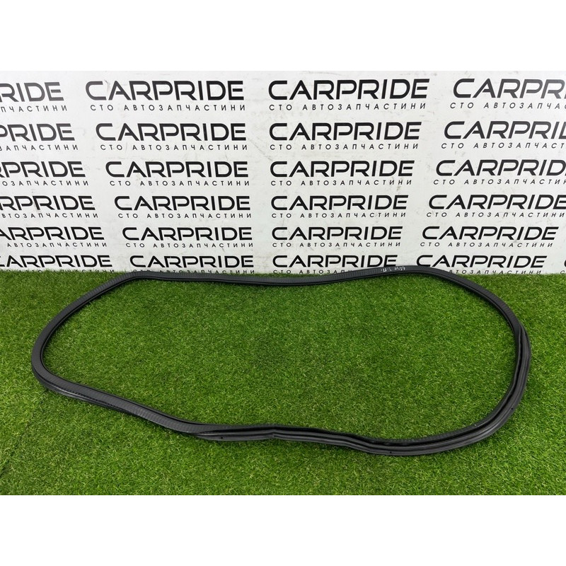 Уплотнитель проема двери (кузов и элементы) BMW 5-series G30 2017 2.0 B46B20 51727468732