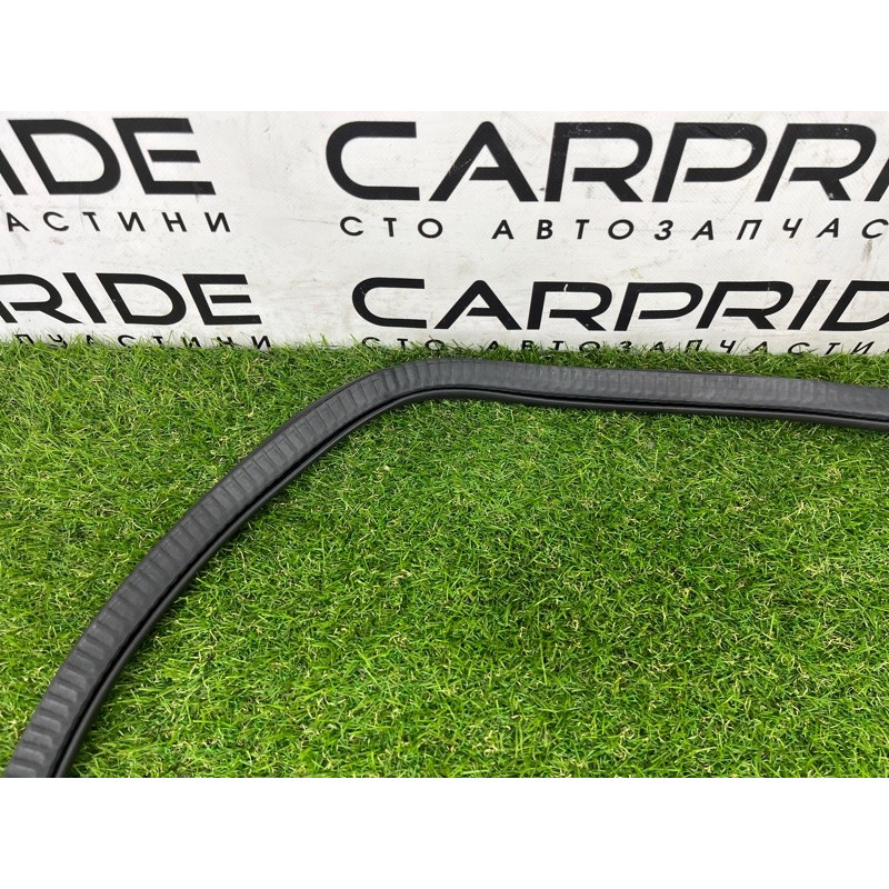 Уплотнитель проема двери (кузов и элементы) BMW 5-series G30 2017 2.0 B46B20 51727468732