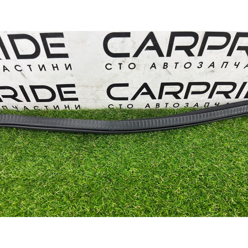 Уплотнитель проема двери (кузов и элементы) BMW 5-series G30 2017 2.0 B46B20 51727468732