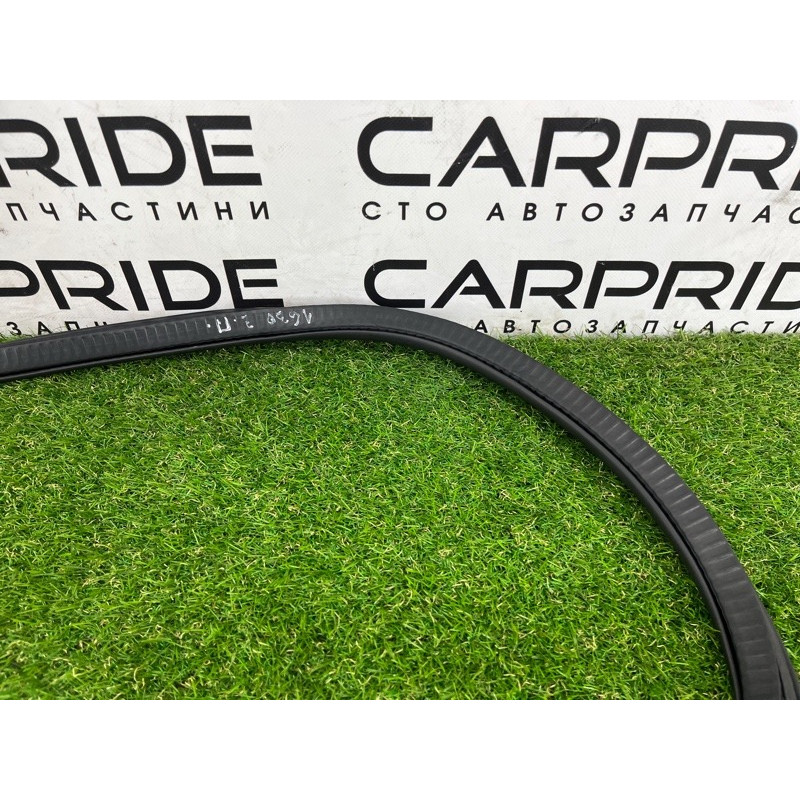 Уплотнитель проема двери (кузов и элементы) BMW 5-series G30 2017 2.0 B46B20 51727468732