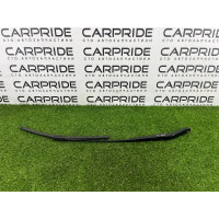 Поводок дворника