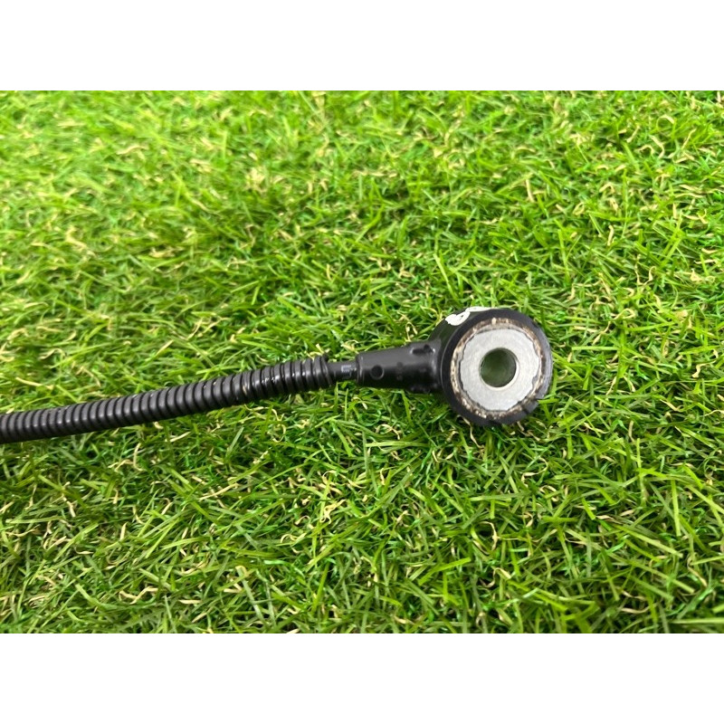 Датчик детонации (электрика двигателя) AUDI Q7 4M 2018 3.0 TFSi 06E905377H