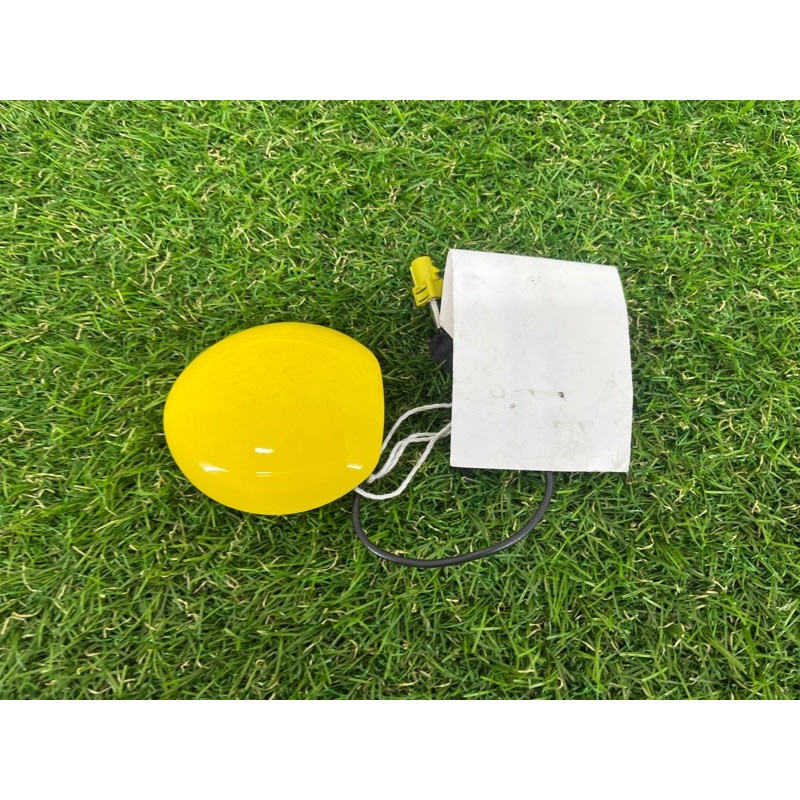 Антенна (электрика) Ford Mustang MK6 GR3Z-10E893-ABPTM