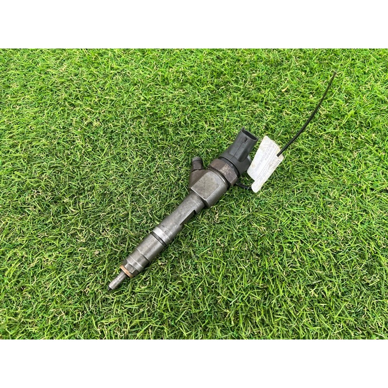 Форсунка топливная (топливная система) Renault Megane 2 2004 1.9 DCI 8200100272