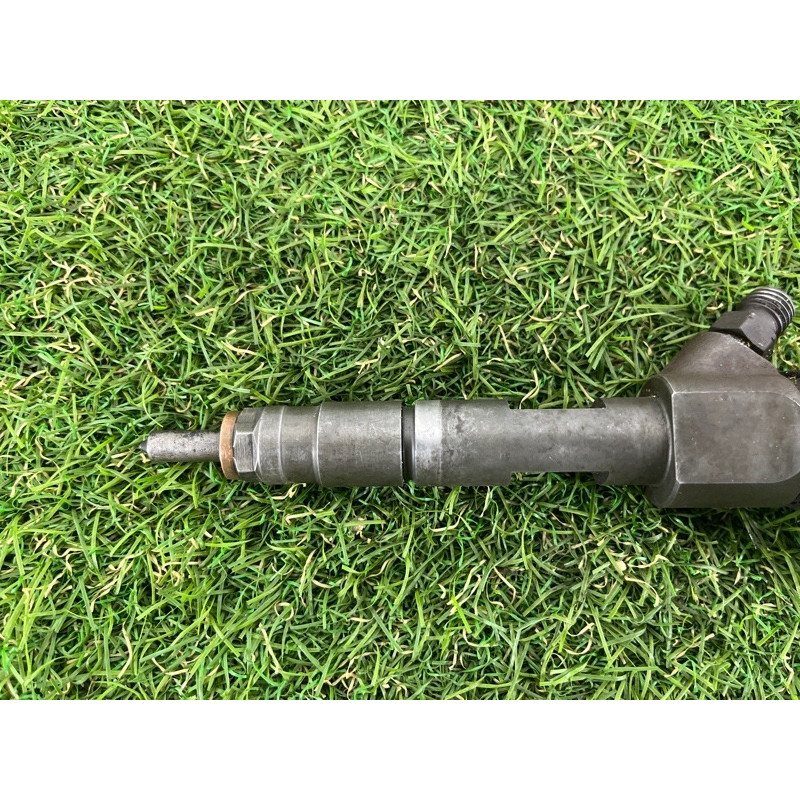 Форсунка топливная (топливная система) Renault Megane 2 2004 1.9 DCI 8200100272