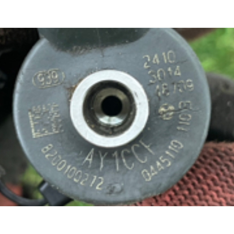 Форсунка топливная (топливная система) Renault Megane 2 2004 1.9 DCI 8200100272