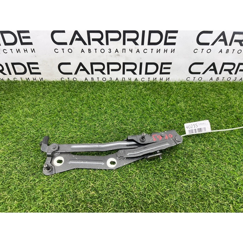 Петля багажника (кузов и элементы) FORD Mustang MK6 2017 2.3 fr3b6342700ad