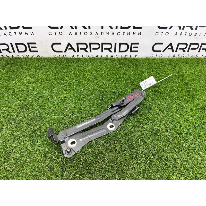 Петля багажника (кузов и элементы) FORD Mustang MK6 2017 2.3 fr3b6342700ad