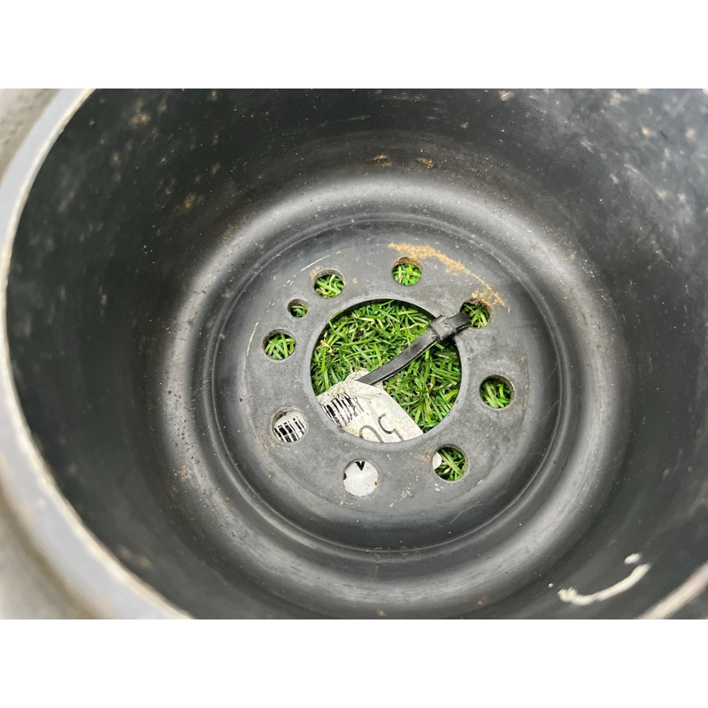 Шкив коленвала (двигатель и элементы) BMW 7-series E65 N62B44 11231439683