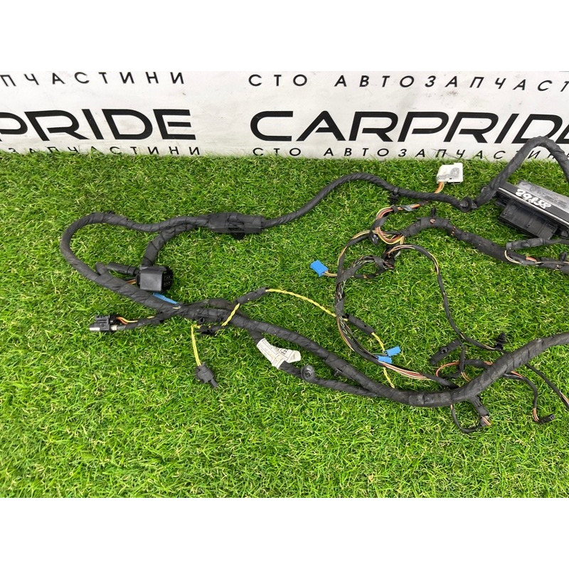 Проводка дверна (електрика) BMW 5-series F10 2013 N63B44 9255985
