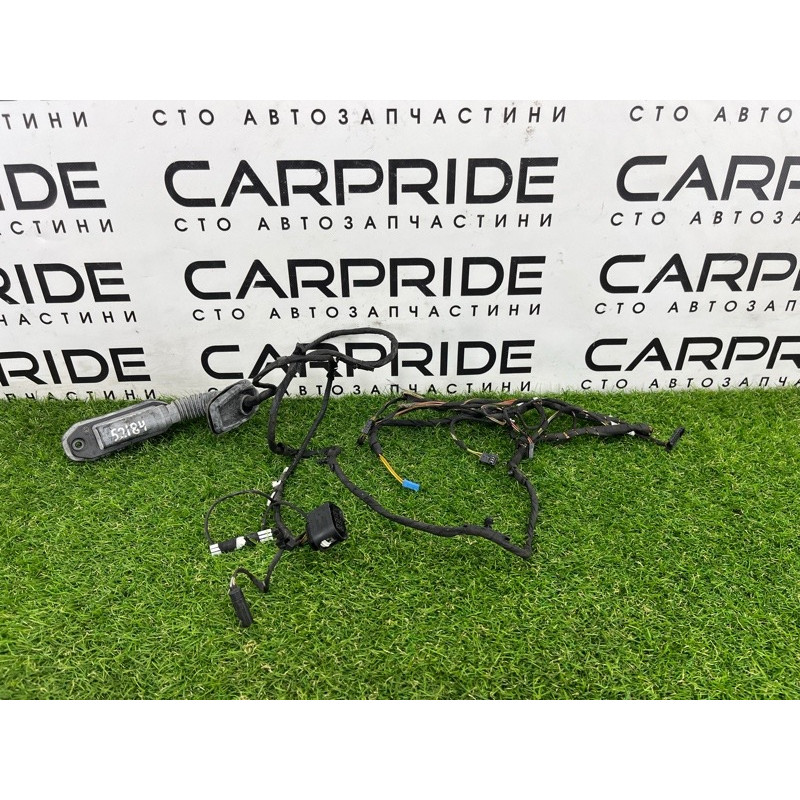 Проводка дверная (электрика) BMW 5-series F10 2013 N63B44 9256017