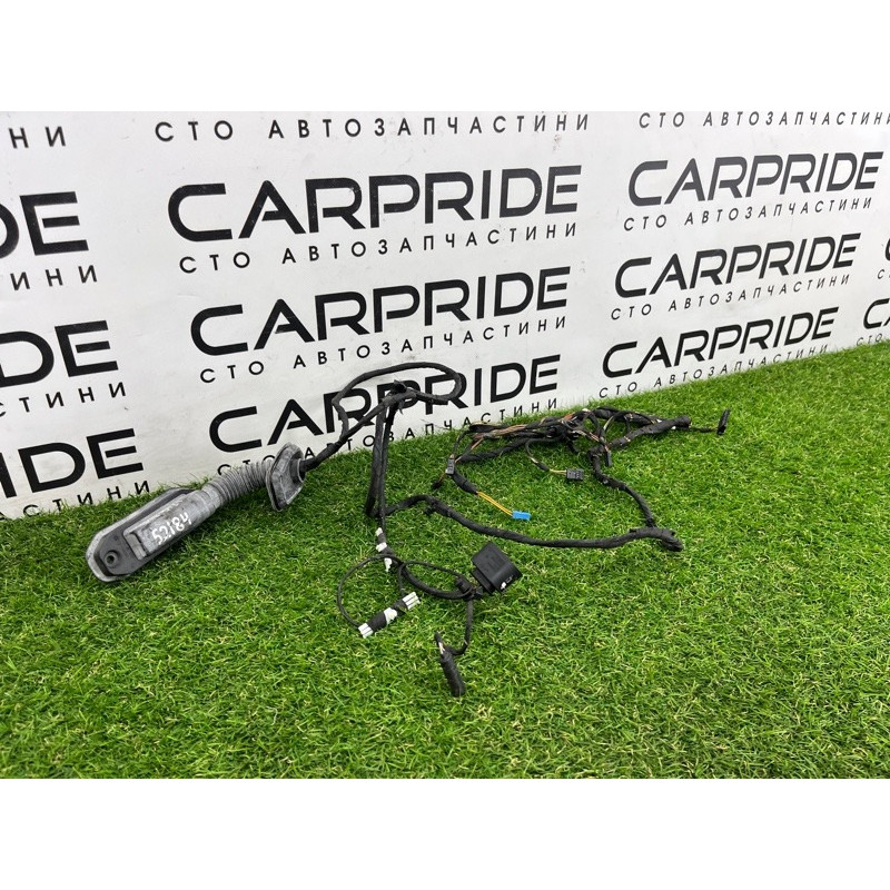 Проводка дверная (электрика) BMW 5-series F10 2013 N63B44 9256017