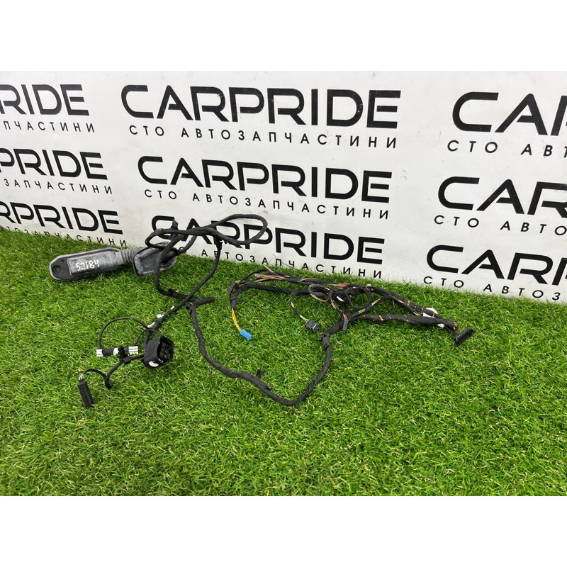 Проводка дверная (электрика) BMW 5-series F10 2013 N63B44 9256017