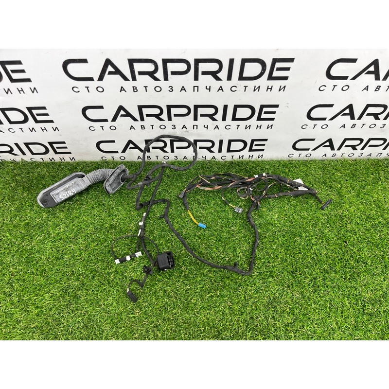 Проводка дверная (электрика) BMW 5-series F10 2013 N63B44 9256017
