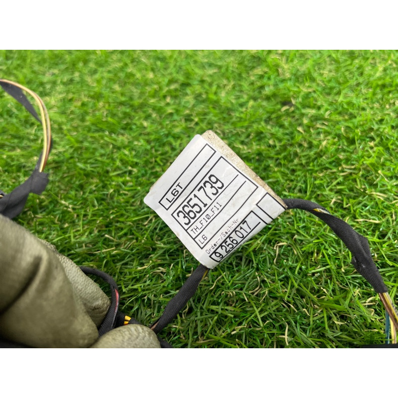 Проводка дверная (электрика) BMW 5-series F10 2013 N63B44 9256017