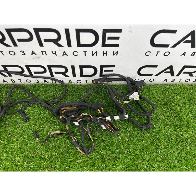 Проводка дверна (електрика) BMW 5-series F10 2013 N63B44 9256017