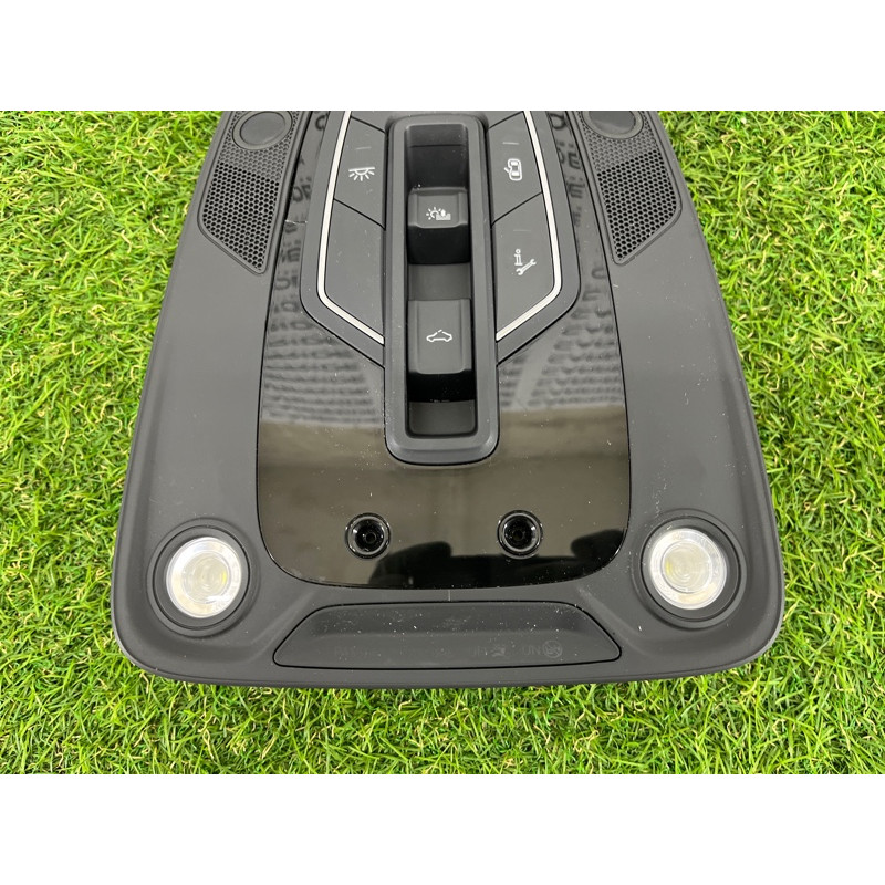 Плафон салона (салон) AUDI SQ5 FY 2018 3.0 CWGD 80A947135AN6PS