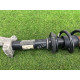 Амортизатор в сборе (подвеска) AUDI A5 F5 2020 2.0 CYMC 8W0413031BG