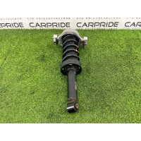 Амортизатор в сборе