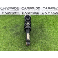 Амортизатор в сборе