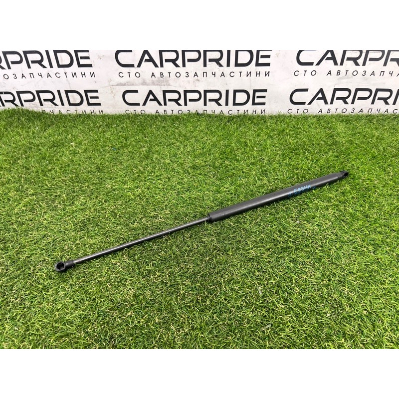 Амортизатор багажника (кузов і елементи) BMW 3-series E93 2008 3.0 N54 51247129215