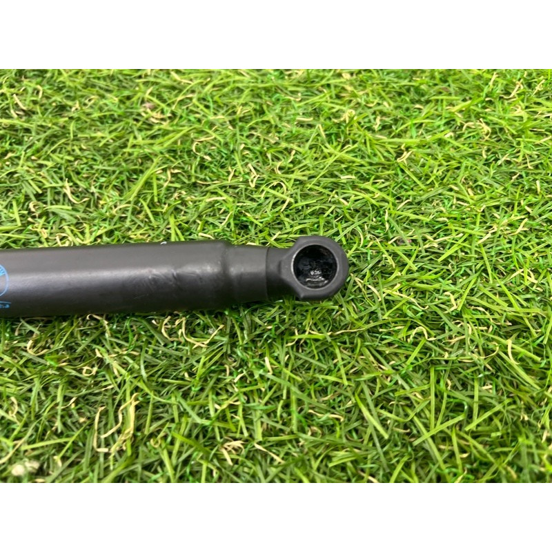 Амортизатор багажника (кузов і елементи) BMW 3-series E93 2008 3.0 N54 51247129215