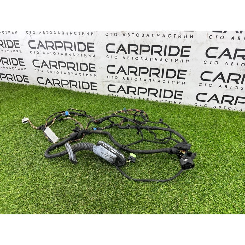 Проводка дверная (электрика) BMW 5-series Gran Turismo F07 2011 3.0 N55B30 61129229985