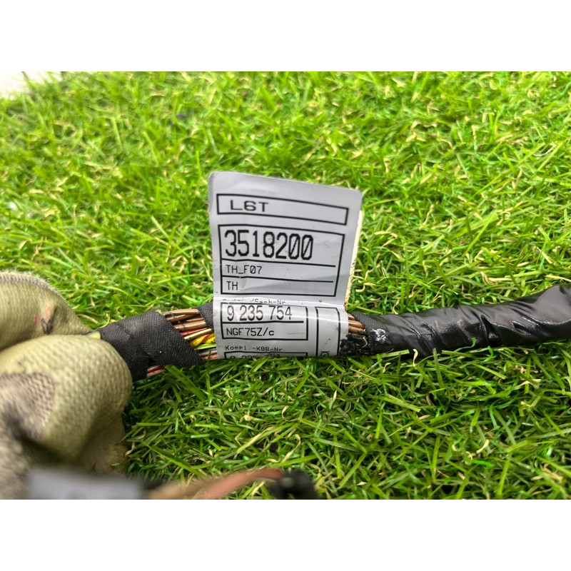 Проводка дверная (электрика) BMW 5-series Gran Turismo F07 2011 3.0 N55B30 61129229990