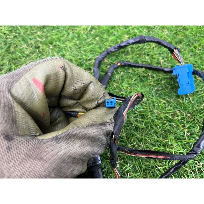 Проводка дверная (электрика) BMW 5-series Gran Turismo F07 2011 3.0 N55B30 61129229990