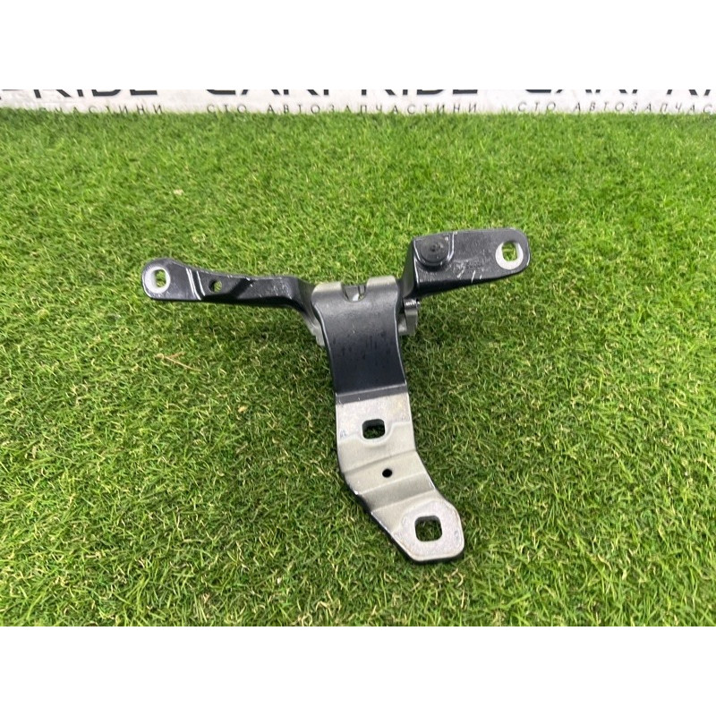 Петля багажника (кузов и элементы) BMW 5-series Gran Turismo F07 2011 3.0 N55B30 41007233588