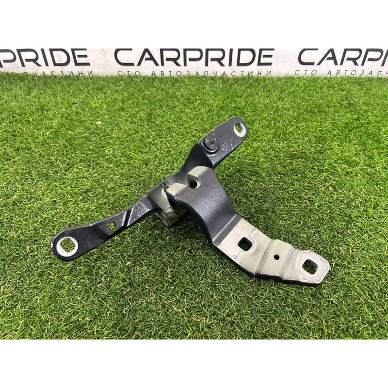 Петля багажника (кузов и элементы) BMW 5-series Gran Turismo F07 2011 3.0 N55B30 41007233588