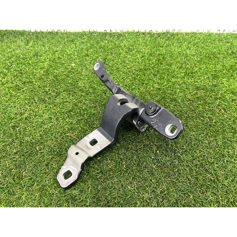 Петля багажника (кузов и элементы) BMW 5-series Gran Turismo F07 2011 3.0 N55B30 41007233588