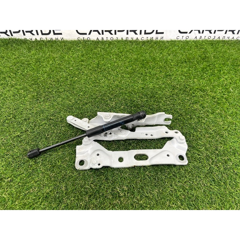 Петля капота (кузов и элементы) BMW 7-series F02 2011 4.4 N63 41007204555