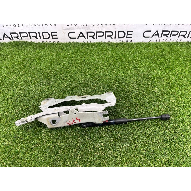 Петля капота (кузов и элементы) BMW 7-series F02 2011 4.4 N63 41007204555