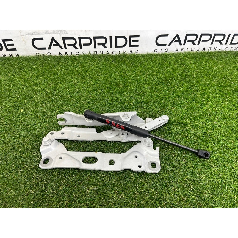 Петля капота (кузов и элементы) BMW 7-series F02 2011 4.4 N63 41007204556