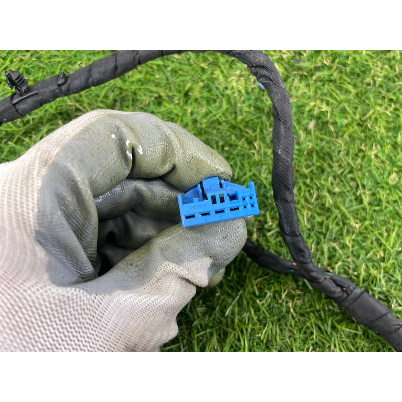 Проводка дверная (электрика) BMW 7-series F02 2011 4.4 N63 61129219986