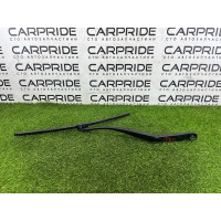 Поводок дворника