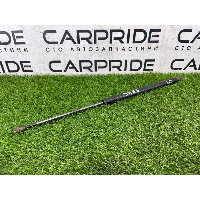 Амортизатор багажника (кузов и элементы) BMW 3-series E46 1999 M47D20