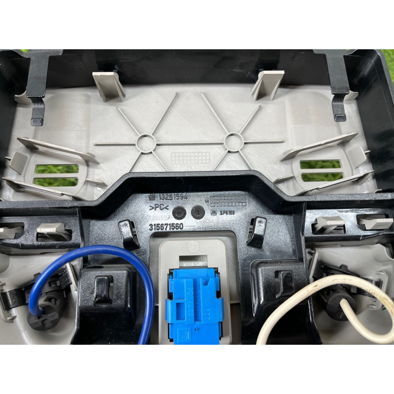 Плафон салона (салон) Opel Insignia A 2012 2.0 DTH 13251594