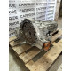 АКПП (трансмиссия) AUDI A5 F5 2020 2.0 CYMC 0CL300042C